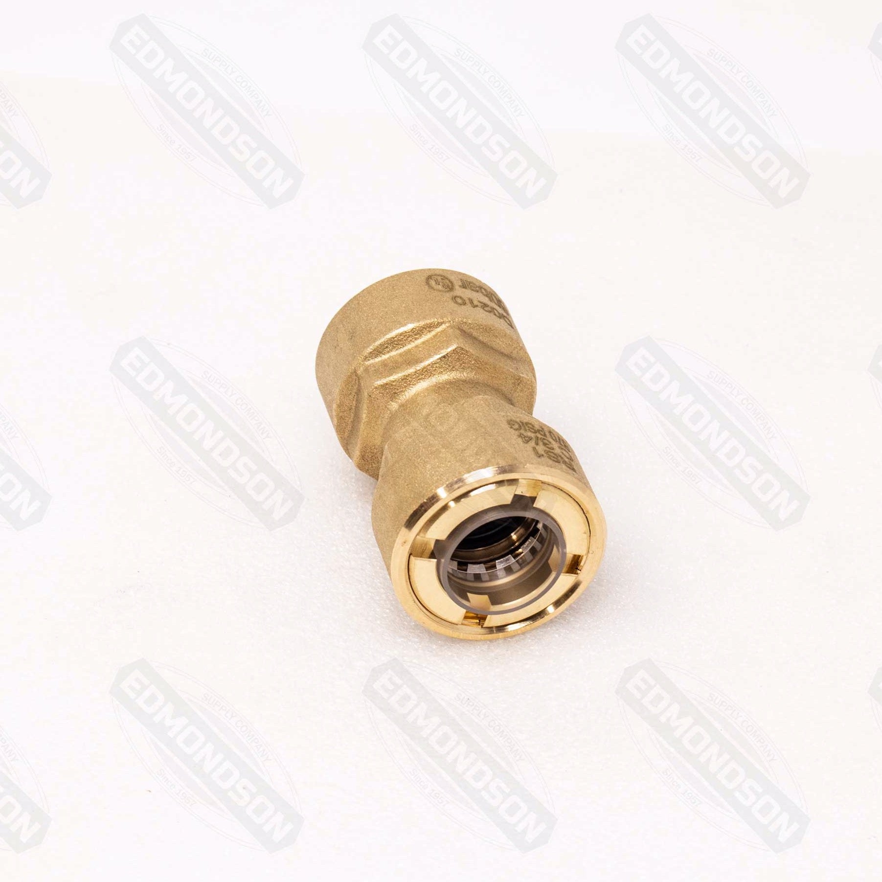 RectorSeal 87022 PRO-Fit™ 3/4" Quick Connect Union - Edmondson Supply