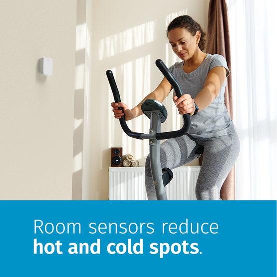 Emerson RS01-SG Remote Room Sensor for use with Sensi™ Touch 2 Thermostats - Edmondson Supply