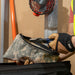 Klein Tools 5139C Zipper Bag, Camouflage Cordura Nylon Tool Pouch, 12-1/2-Inch - Edmondson Supply