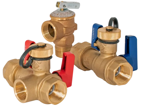 Eastman 60204 Tankless Water Heater Service Kit - 3/4 in. FNPT x 3/4 in. FIP - Edmondson Supply