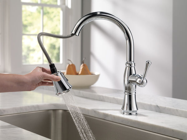 Delta CASSIDY™  9197-DST Single Handle Pull-Out Kitchen Faucet With ShieldSpray® Technology In Chrome