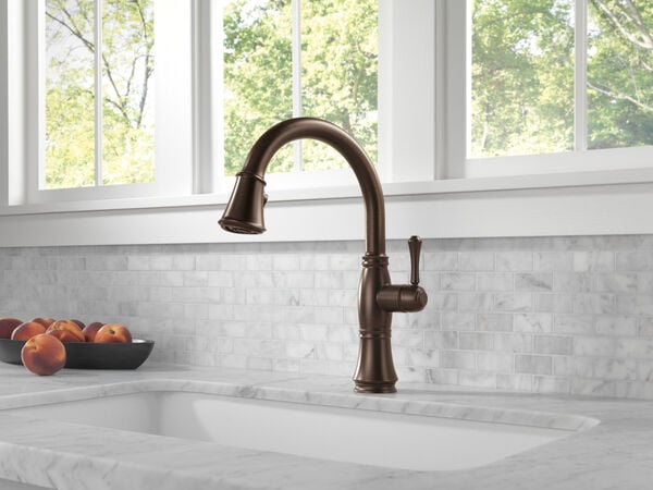 Delta CASSIDY™  9197-RB-DST Single Handle Pull-Out Kitchen Faucet With ShieldSpray® Technology In Venetian Bronze