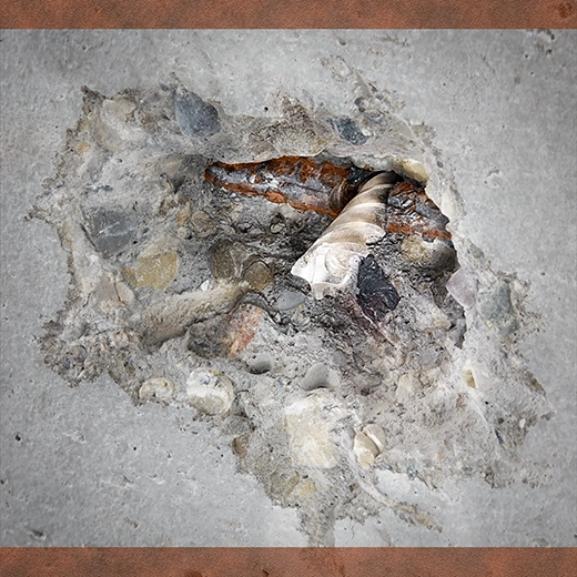 Milwaukee 48-20-7663 8 PC SDS Plus MX4™ 4-Cutter Drill Bit Kit - Edmondson Supply