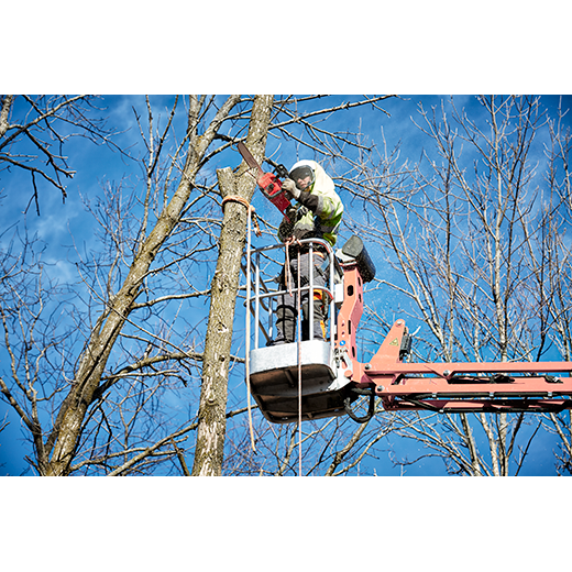 Milwaukee 2727-20 M18 FUEL™ 16" Chainsaw (Tool Only) - Edmondson Supply